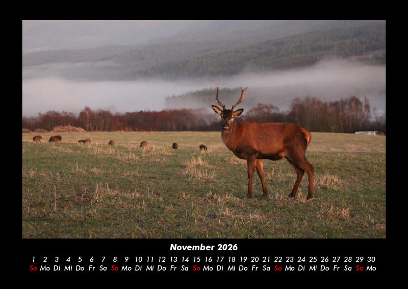 Naturlandschaften Fotokalender 2026 - 11