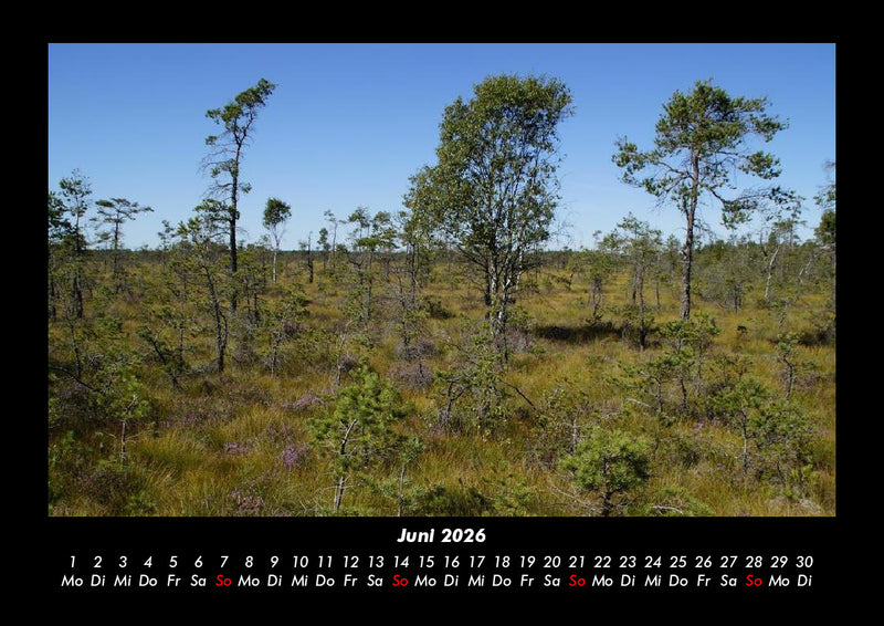 Naturlandschaften Fotokalender 2026 - 6