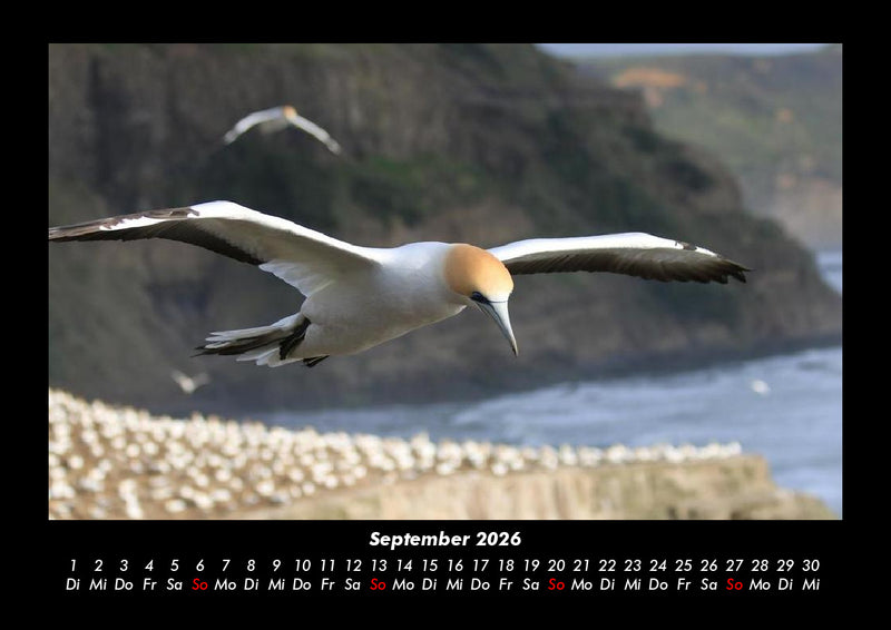Vogelparadies Fotokalender 2026 - 9