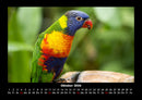 Vogelparadies Fotokalender 2026 - 10