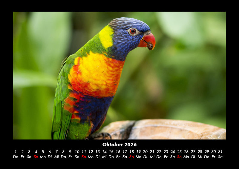 Vogelparadies Fotokalender 2026 - 10