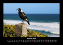 Vogelparadies Fotokalender 2026 - 2