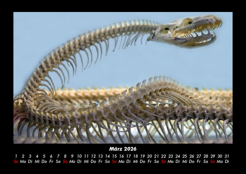 London Fotokalender 2026 - 3