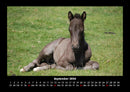 Pferdegeflüster Fotokalender 2026 - 9
