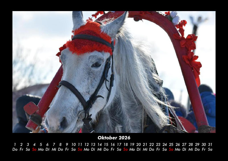 Pferdegeflüster Fotokalender 2026 - 10