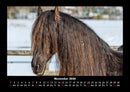 Pferdegeflüster Fotokalender 2026 - 11