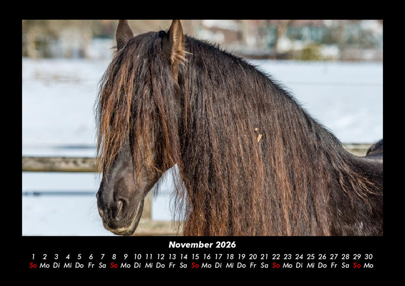 Pferdegeflüster Fotokalender 2026 - 11