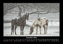 Pferdegeflüster Fotokalender 2026 - 12