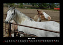 Pferdegeflüster Fotokalender 2026 - 3