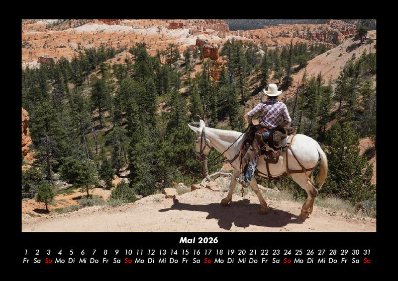 Pferdegeflüster Fotokalender 2026 - 5