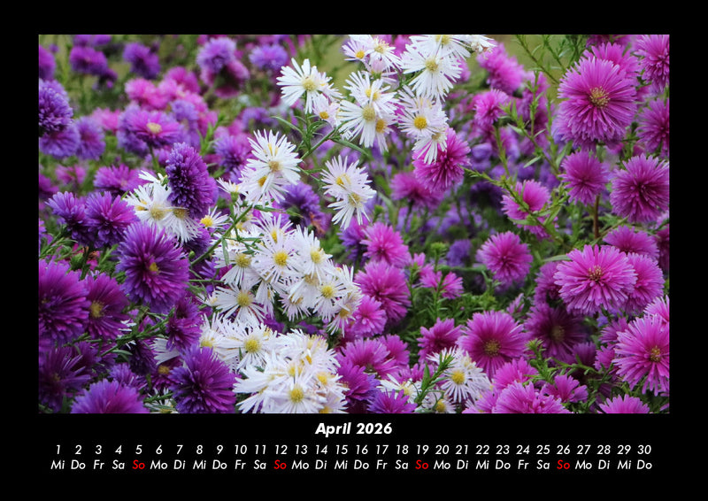 Blumenträume Fotokalender 2026 - 4