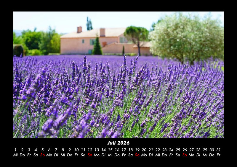 Blumenträume Fotokalender 2026 - 7