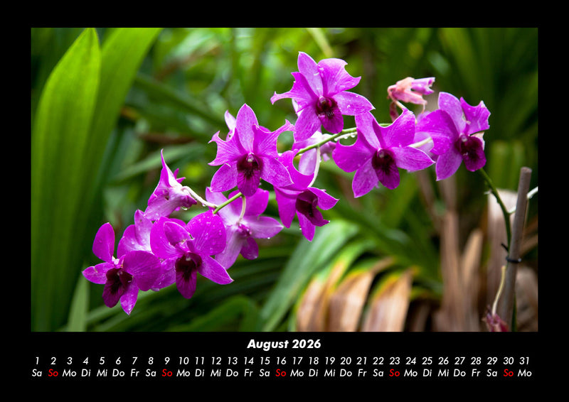 Blumenträume Fotokalender 2026 - 8