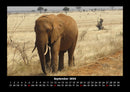 Elefanten  Fotokalender 2026 - 9