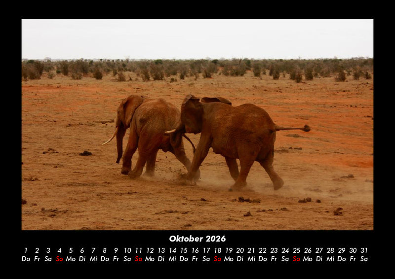 Elefanten  Fotokalender 2026 - 10