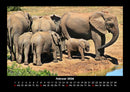 Elefanten  Fotokalender 2026 - 2