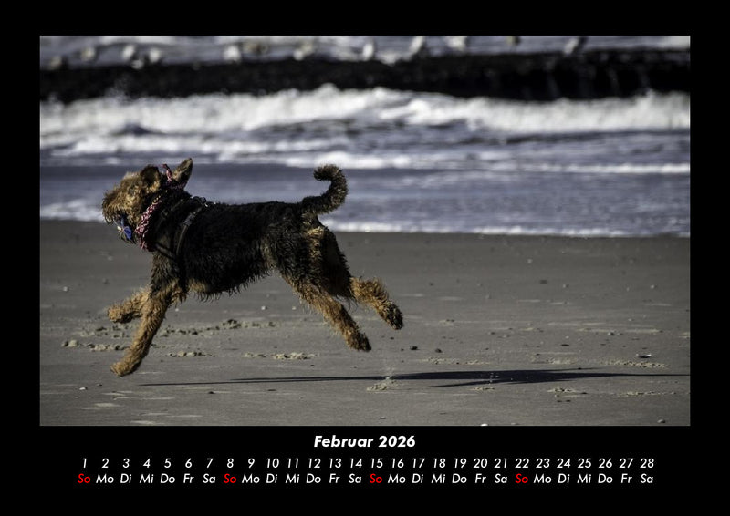 Strände der Welt Fotokalender 2026 - 2
