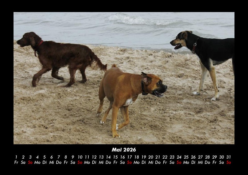 Strände der Welt Fotokalender 2026 - 5