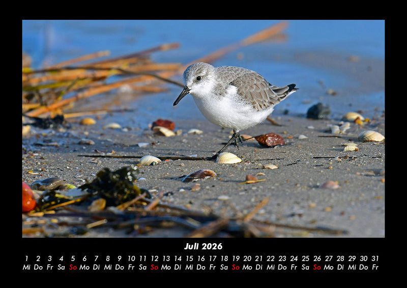 Strände der Welt Fotokalender 2026 - 7