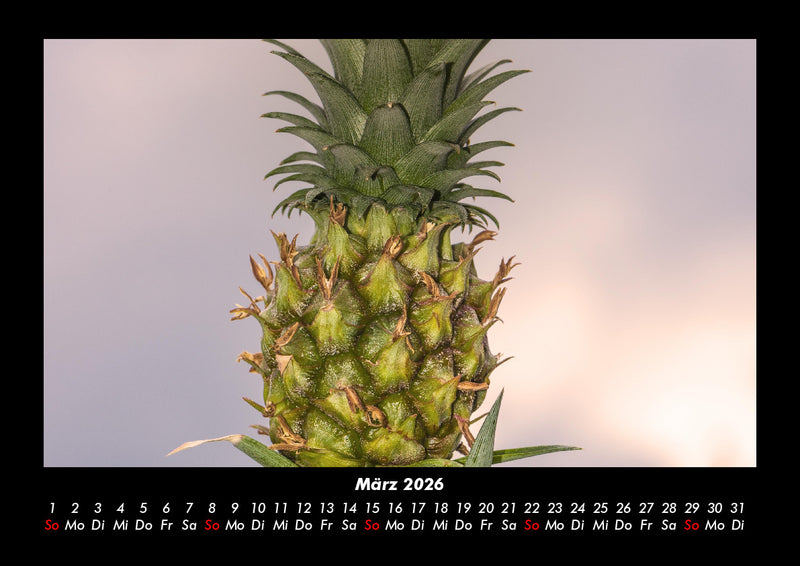 Genuss Fotokalender 2026 - 3