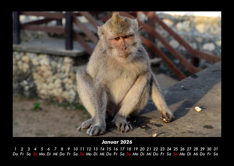 Indonesien Fotokalender 2026 - 1