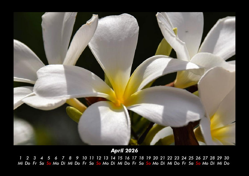 Indonesien Fotokalender 2026 - 4