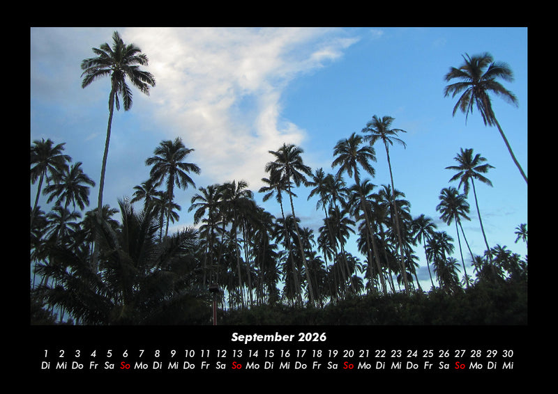 Palmentraum Fotokalender 2026 - 9