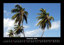 Palmentraum Fotokalender 2026 - 12