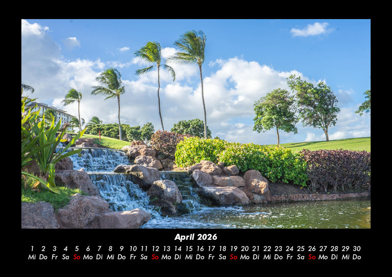 Palmentraum Fotokalender 2026 - 4