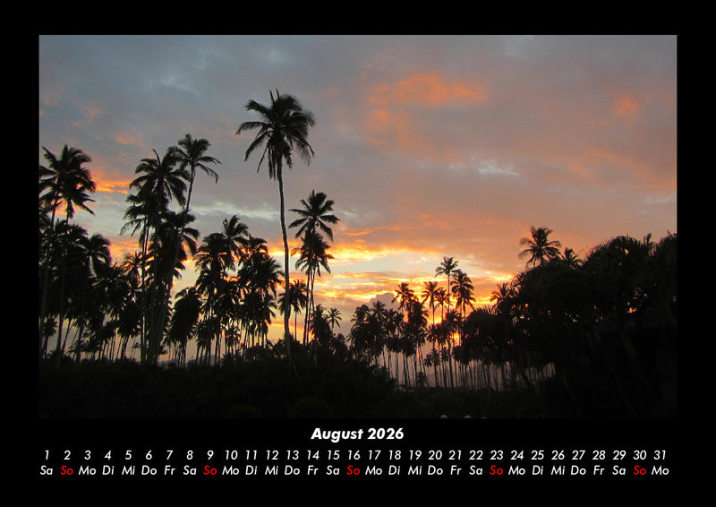 Palmentraum Fotokalender 2026 - 8