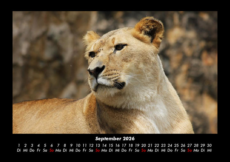 Tiere im Zoo Fotokalender 2026 - 9