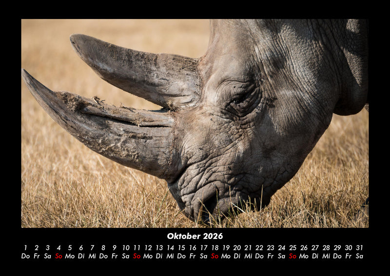 Tiere im Zoo Fotokalender 2026 - 10