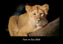 Tiere im Zoo Fotokalender 2026 - Hauptbild