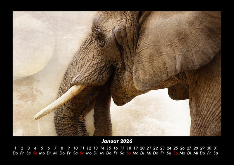 Tiere im Zoo Fotokalender 2026 - 1