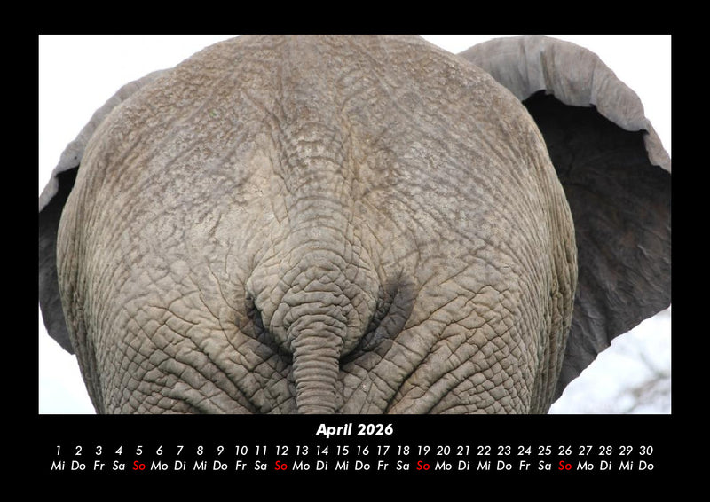 Tiere im Zoo Fotokalender 2026 - 4