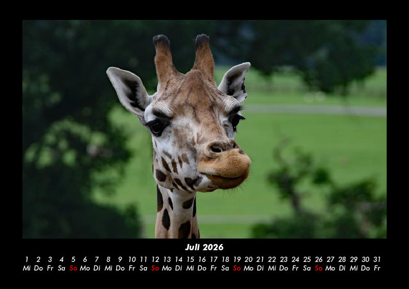 Tiere im Zoo Fotokalender 2026 - 7