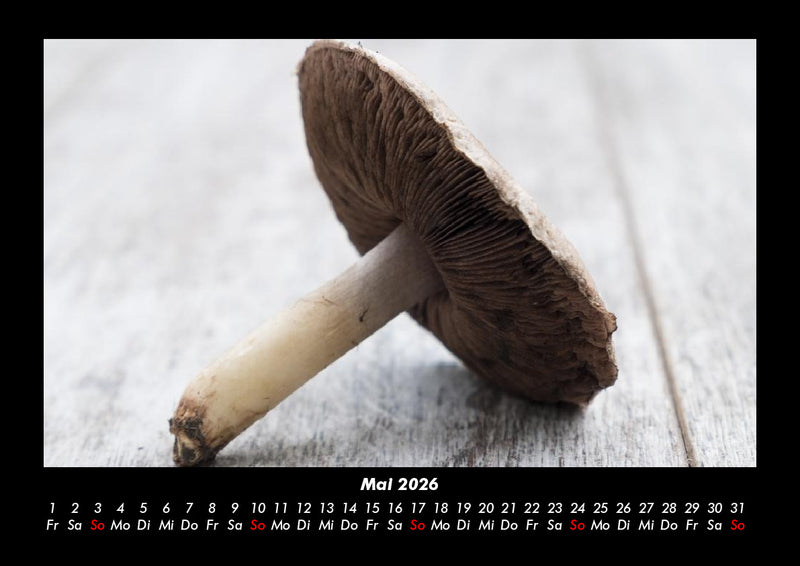 Pilzkalender Fotokalender 2026 - 5