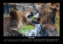 Tierkalender Fotokalender 2026 - 5