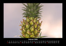 Obstkalender Fotokalender 2026 - 2