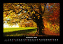 Bäume Fotokalender 2026 - 9
