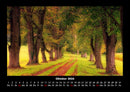 Bäume Fotokalender 2026 - 10
