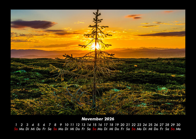 Bäume Fotokalender 2026 - 11