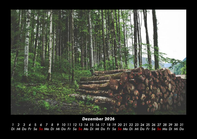 Bäume Fotokalender 2026 - 12