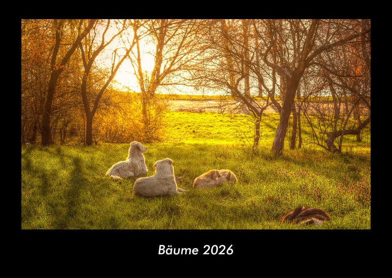 Bäume Fotokalender 2026 - Hauptbild