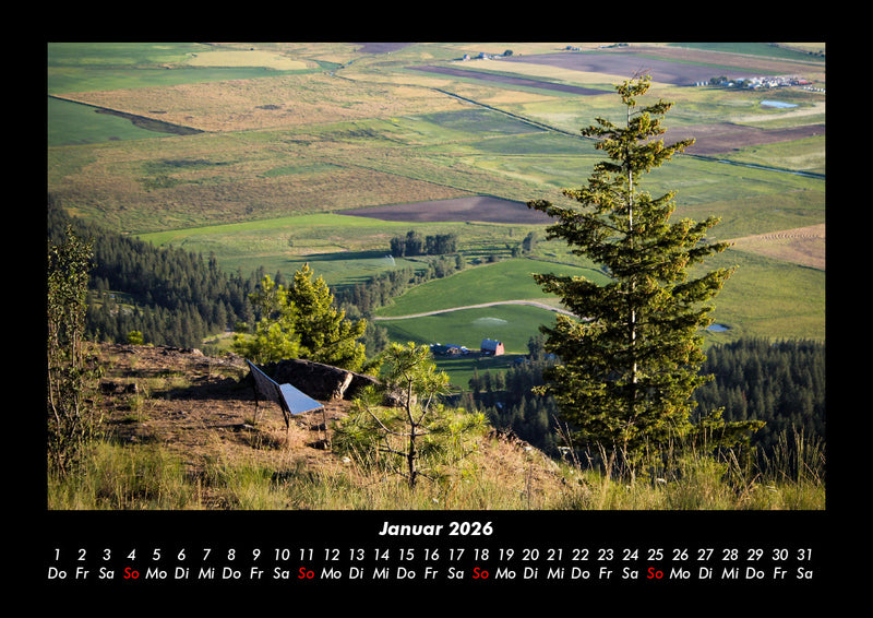 Bäume Fotokalender 2026 - 1