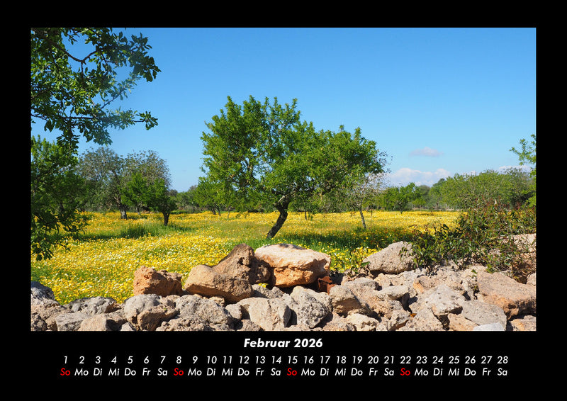 Bäume Fotokalender 2026 - 2