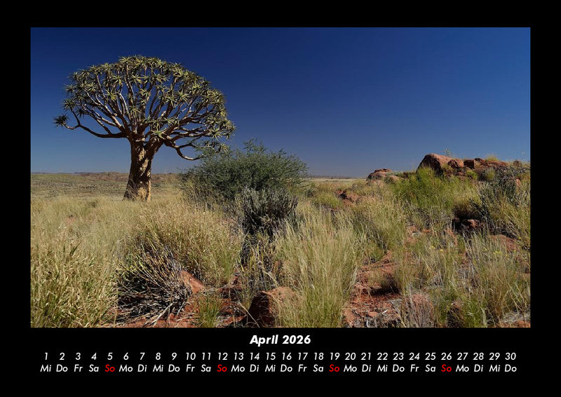 Bäume Fotokalender 2026 - 4