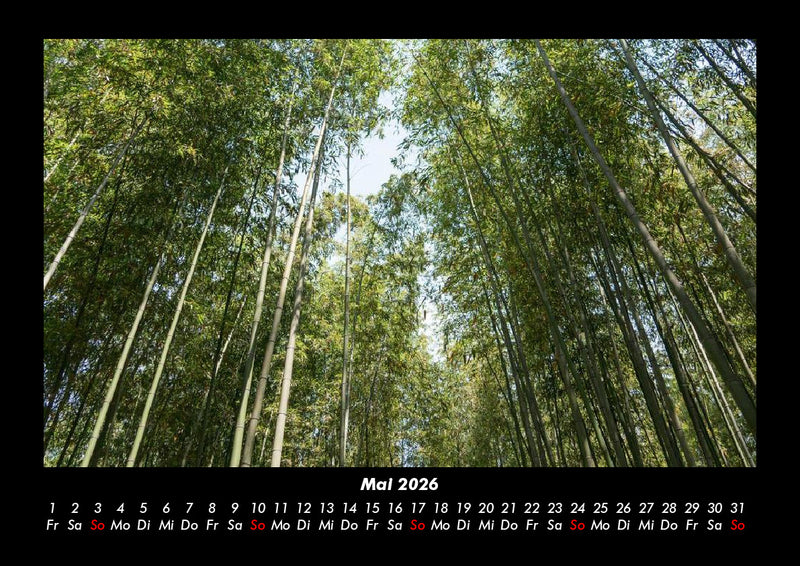 Bäume Fotokalender 2026 - 5