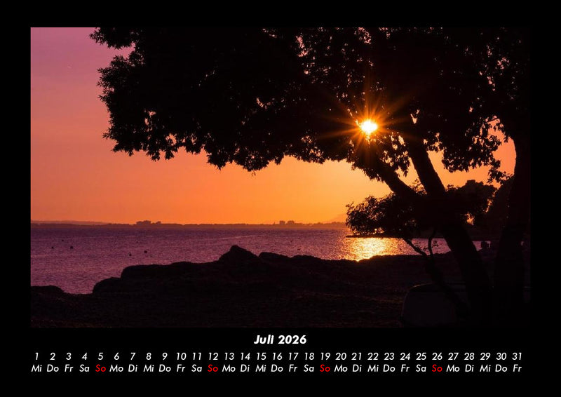Bäume Fotokalender 2026 - 7
