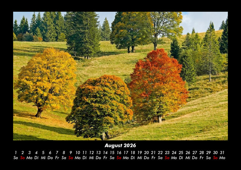 Bäume Fotokalender 2026 - 8